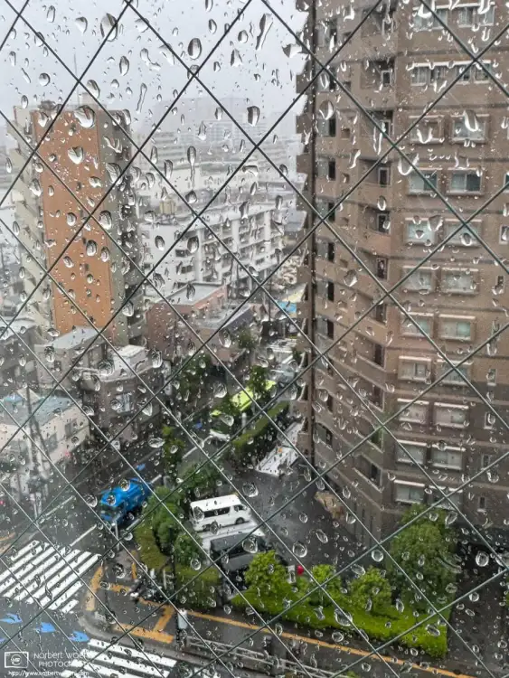 My wife and I returned from our Europe trip yesterday, just in time before Typhoon No. 6 hit Tokyo. Here is a quick window view of the situation this morning.