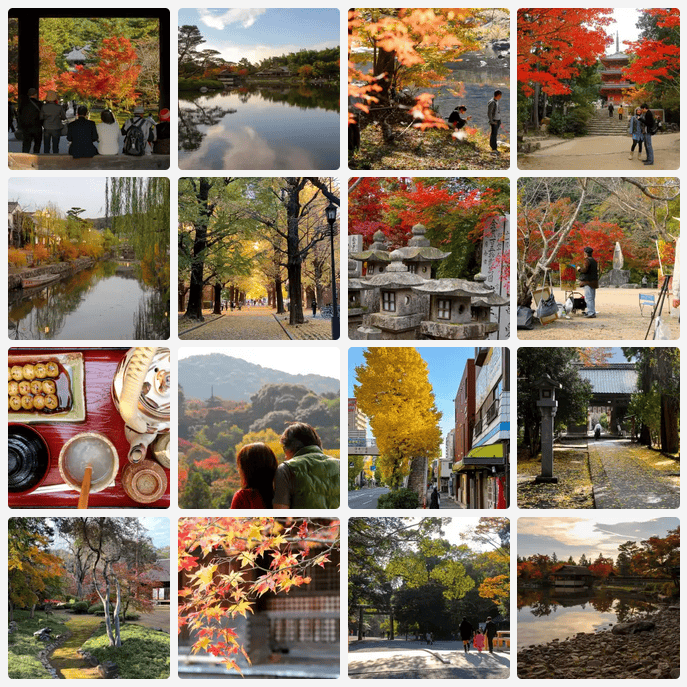 Japan Autumn Photos