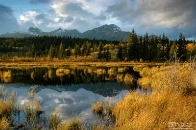 Late-afternoon sunlight hits golden autumn-colored vegetation at a small lake north of Jasper Townsite in Alberta, Canada.