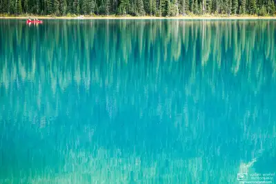 A canoe is moving on turquoise-blue Emerald Lake in Yoho National Park in the Canadian Rockies. The lake reflects the adjacent forest of spruce trees.