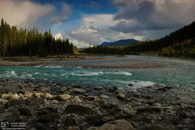 Last light of the day along the Athabasca River in Jasper National Park, Alberta, Canada.