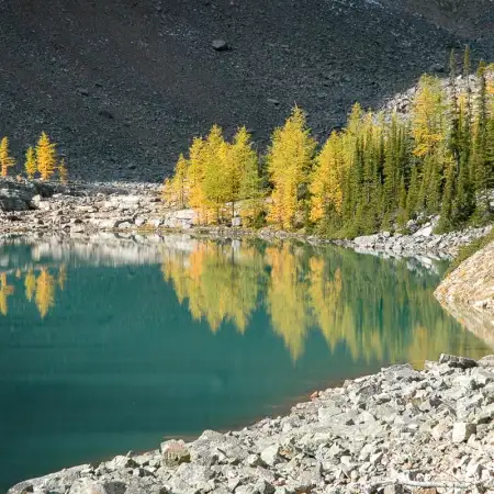 An early touch of autumn colors is being reflected off the surface of Lake Agnes in Banff National Park, Alberta, Canada.