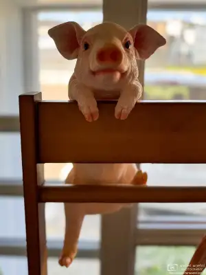 Interior decoration at Cafe BALTHUS in Hakodate, Japan.