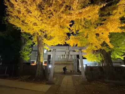 Autumnal night photo taken at Shimizu Inari Shrine in the Itabashi Ward of Tokyo, Japan.
