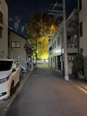 Autumnal night photo taken at Shimizu Inari Shrine in the Itabashi Ward of Tokyo, Japan.