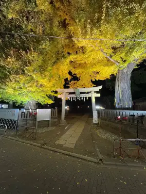 Autumnal night photo taken at Shimizu Inari Shrine in the Itabashi Ward of Tokyo, Japan.