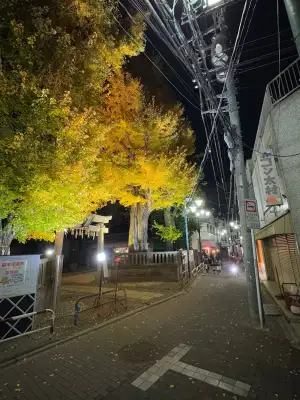 Autumnal night photo taken at Shimizu Inari Shrine in the Itabashi Ward of Tokyo, Japan.