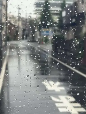 A neighborhood side street in the Itabashi Ward of Tokyo, Japan, photographed through an umbrella.