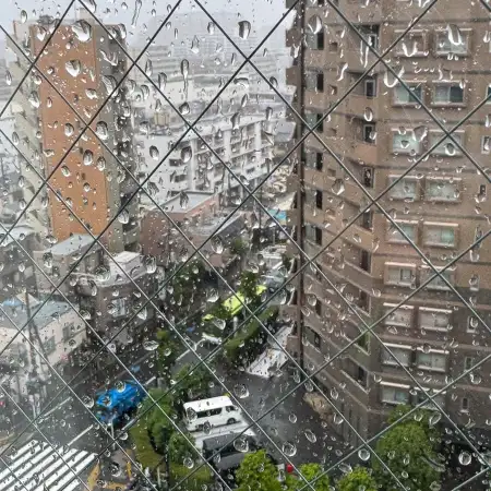 My wife and I returned from our Europe trip yesterday, just in time before Typhoon No. 6 hit Tokyo. Here is a quick window view of the situation this morning.