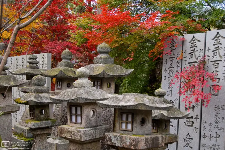 Detail of stone lanterns in autumn at Konpirasan Shrine (also called Kotohira-gu) on the Japanese island of Shikoku.