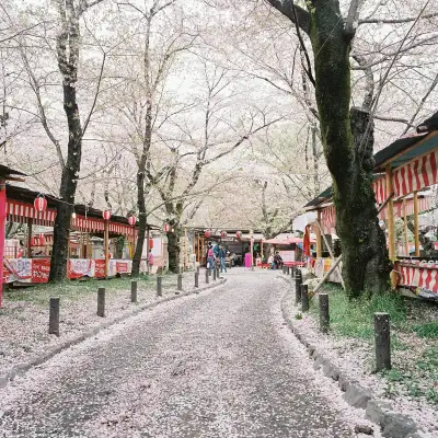 Fallen petals at the end of cherry blossom season at Hirano Shrine in Kyoto, Japan.
