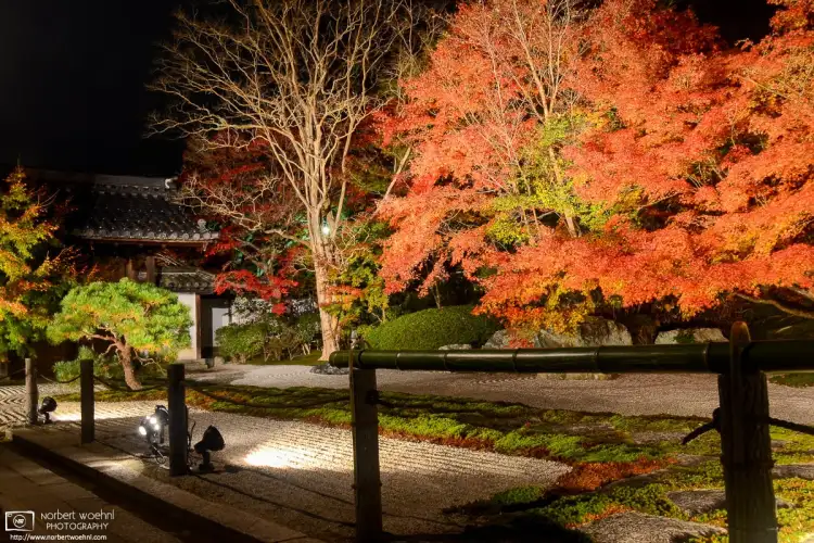 Autumn Illumination at Tenju-an, a sub-temple of Nanzen-ji in the Higashiyama district of Kyoto, Japan.