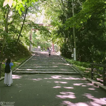 The approach to Hokkaido Jingu, a major Shinto Shrine in Sapporo, Japan, takes visitors through this huge toori gate in Maruyama Park.