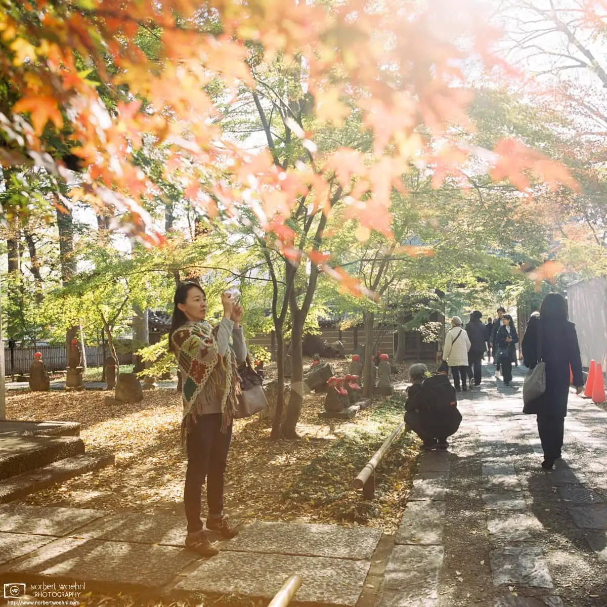 During autumn season, visitors are taking photos at Joshinji, a Buddhist temple affiliated with the Jōdo sect situated in the Setagaya Ward of Tokyo, Japan.
