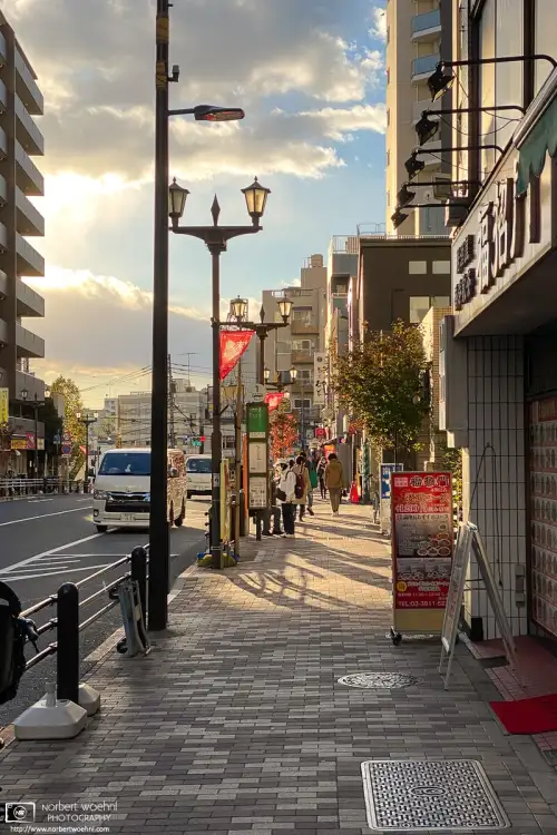 An ordinary street scene from Honkomagome in Tokyo, Japan, is made beautiful by autumn afternoon light.