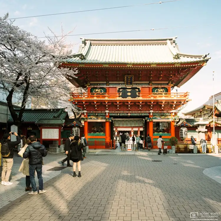 Zuishin-mon Gate at Kanda Myojin Shrine in Tokyo, Japan, was built as recently as 1975. This photo is from a visit during cherry blossom season.