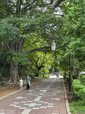 Pedestrian sidewalk outside the western campus of Hitotsubashi University in Kunitachi, Tokyo, Japan.
