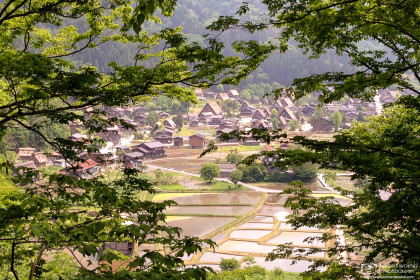 Ogimachi Village, Shirakawago, Gifu, Japan Photo