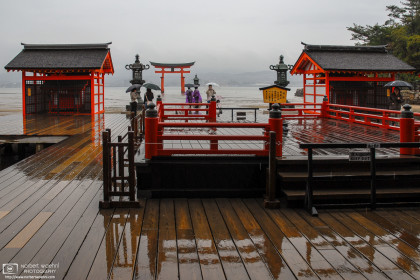 Rainy Reflections, Itsukushima Shrine, Miyajima, Japan Photo