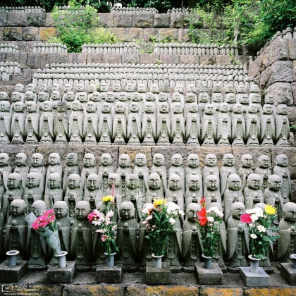 Jizo Statues, Hasedera Temple, Kamakura, Japan Photo