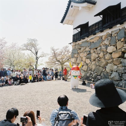Dance of Hikonyan the Mascot, Hikone Castle, Japan Photo