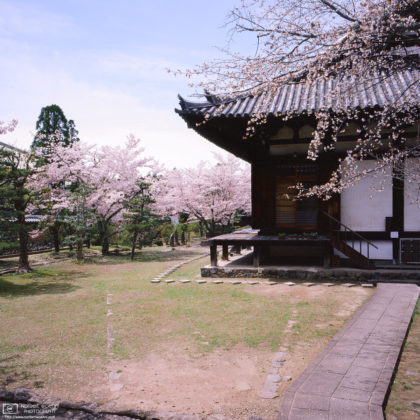 Garden Glimpse, Shingonin Temple, Nara, Japan Photo