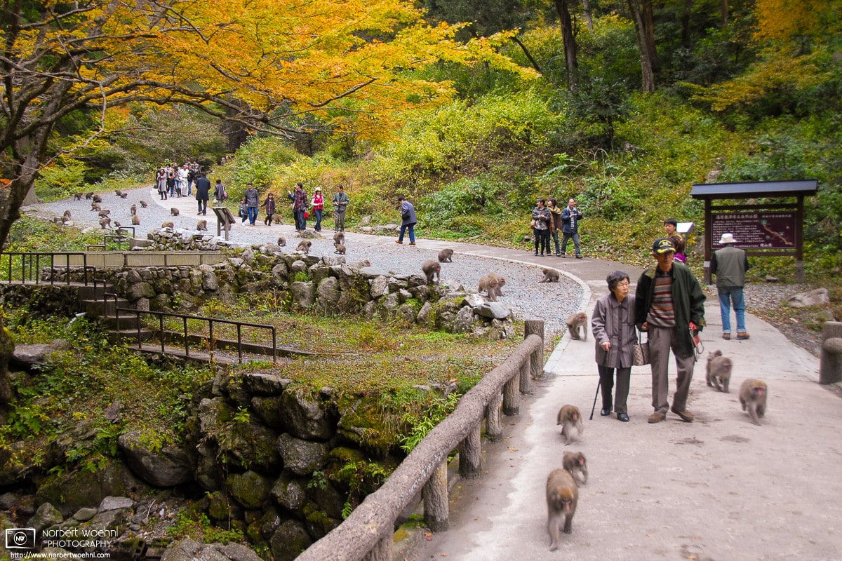 Kamba Waterfall Park Autumn, Okayama Prefecture, Japan Photo