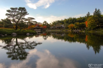 A quiet autumn afternoon scene at Showa Memorial Park (昭和記念公園) in Tachikawa, Japan.