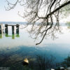 By the Lakeside II, Bernried, Starnberger See, Bayern, Germany Photo