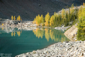 Autumn Colors, Lake Agnes, Banff National Park, Canada Photo
