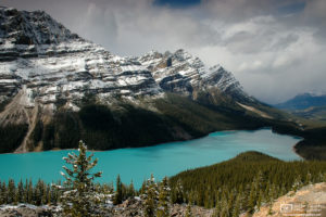 Peyto Lake in Banff National Park in the Canadian Rockies, as seen from the Bow Summit Lookout.