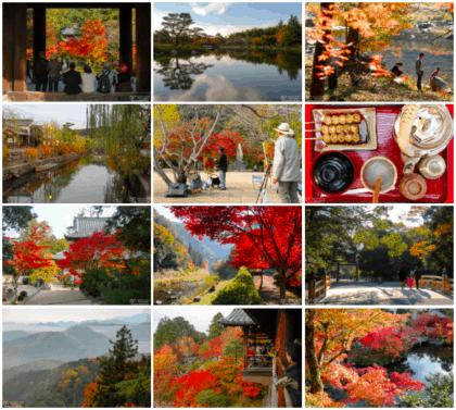 Norbert Woehnl Photography - Digital Portfolio Autumn in Japan