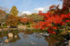An autumn view across a pond at Maruyama Park in the Higashiyama area of Kyoto, Japan.