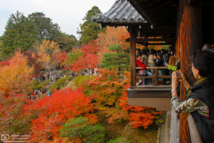 Tsutenkyo Bridge at Tofukuji Temple (東福寺) in Kyoto, Japan, becomes one of the city's most busy spots in autumn.