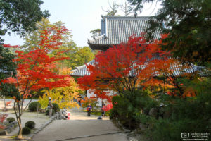 Autumn at Hofukuji Temple, Soja, Okayama Prefecture, Japan Photo