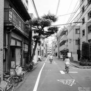 Bicycling past a leaning tree in this quiet neighborhood in Taito-ku, Tokyo, Japan.