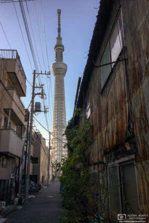 Old and New (Skytree versus wooden building), Sumida-ku, Tokyo, Japan Photo