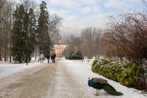 Winter at Eggenberg Palace, Graz, Austria Photo