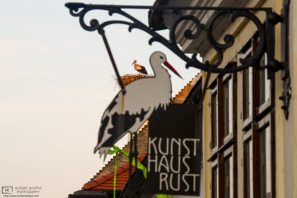 A white stork is seen in its rooftop nest in the "stork village" of Rust, Austria, behind a locally-themed sign on a building.