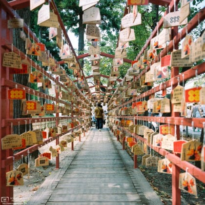 Ema (絵馬; wishing plaques) at Sanada Shrine, located on the grounds of Ueda Castle in Nagano Prefecture, Japan.