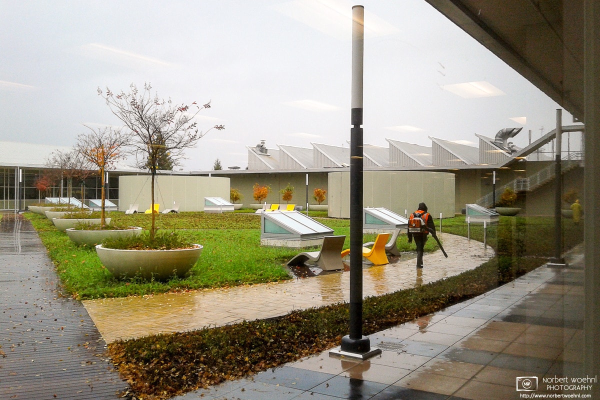Blowing the autumn leaves on a rainy day in the inner yard of a corporate site in Palo Alto, California.