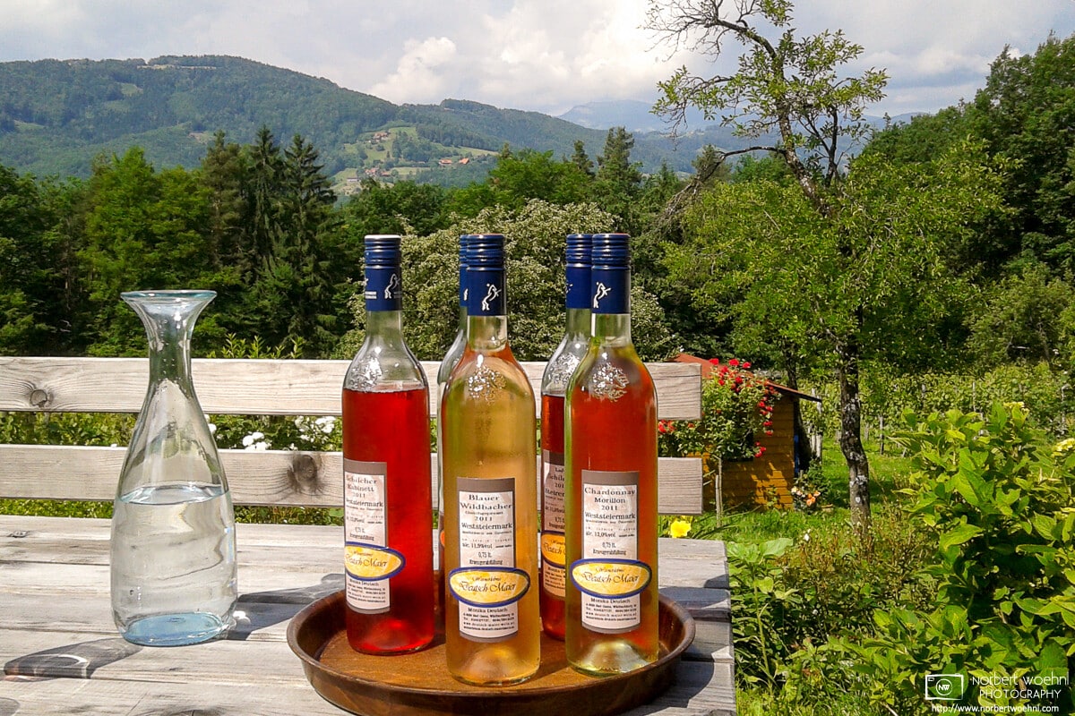 Sampling a selection of Schilcher wines at a local winery in Bad Gams, Western Styria, Austria.