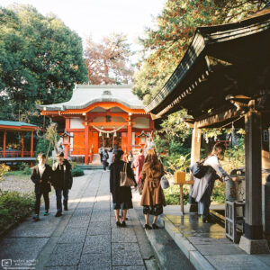 A bright autumn day at Jiyugaoka Kumano Jinja, a small shrine in the Meguro ward of Tokyo, Japan.