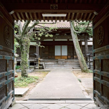 A quiet and peaceful entrance to Gannenji (願念寺), a small temple in Kanazawa, Japan.